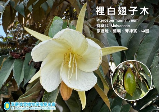 親子植樹趣 壽山動物園播下環教種子