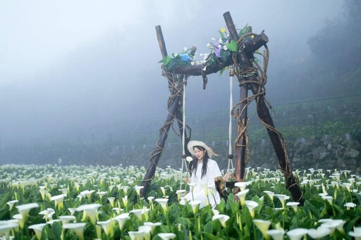 週末天氣晴到多雲 臺北賞花路線處處明媚