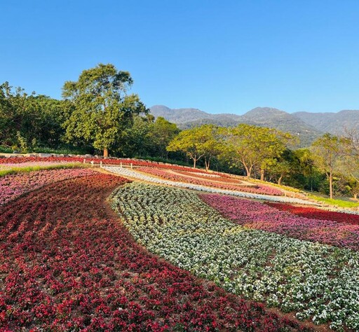 週末天氣晴到多雲 臺北賞花路線處處明媚