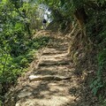 友善大地森呼吸 走進優良農建新埔觀南步道健行賞景