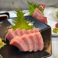 黑鮪魚季開跑！高鐵攜手屏東推限定優惠 吃鮪魚、住飯店還能抽獎