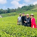 英國百萬網紅讚嘆臺灣風景 歐洲旅客人數創新高