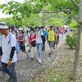 苗栗桐花祭登場 健走賞花逛青創市集共賞春日風光