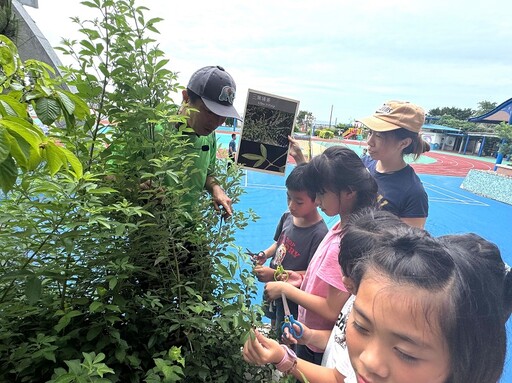 苗栗通霄推《小小綠手指2.0》 串連校園社區保育受脅植物
