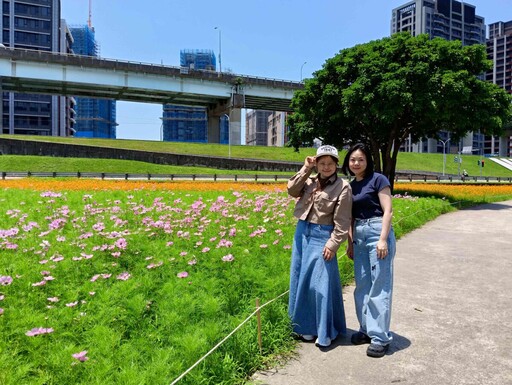 週末晴朗好天氣!新北河濱花海盛開 賞花+騎車+小孩放電一次滿足