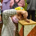 暑假前親子共遊好去處！東眼山森林兩大特色活動等你來探索！