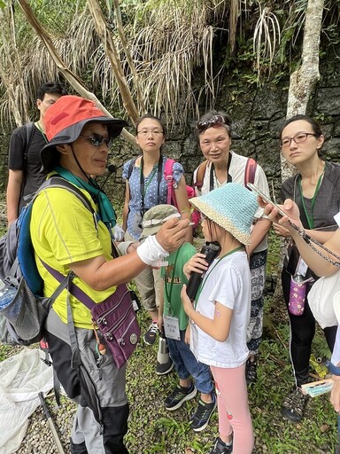三峽消暑熱點報到!滿月圓蝶舞季今夏繽紛登場