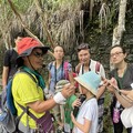 三峽消暑熱點報到！滿月圓蝶舞季今夏繽紛登場