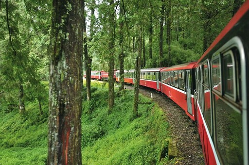限定熱賣中！搭蒸汽火車遊阿里山 嘉縣推親子鐵道旅遊14路線
