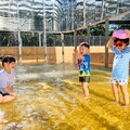 壽山動物園暑假大放送！12歲以下免費入園 新動物明星+昆蟲特展一次看