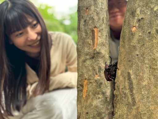 「盔甲武士」出沒!獨角仙現身烏山頂泥火山 暑假來趟惡地秘境探險趣