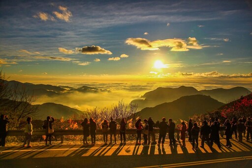 鐵道×部落×茶旅 阿里山親子自駕遊程