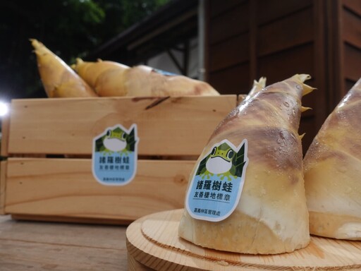 推廣環境教育保育意識 鯉魚潭環境教育中心共同探索「我們與蛙的距離」