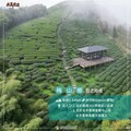 嘉縣「步入嘉境-梅山篇」精選10條親子步道
