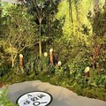 跟著新垣結衣走進療癒之森！十六茶品牌快閃店限時登場華山