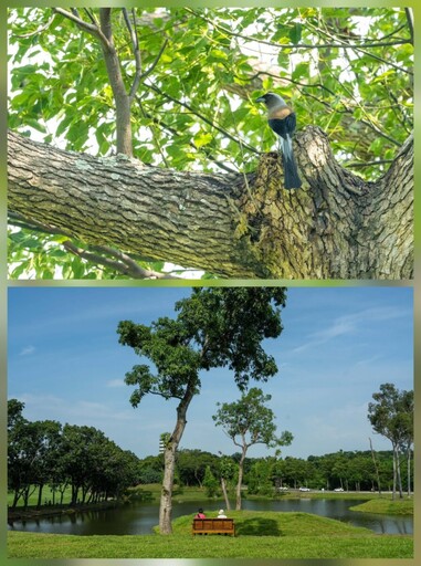 開放3天吸引7.5萬人！高雄果嶺自然公園成最新打卡熱點