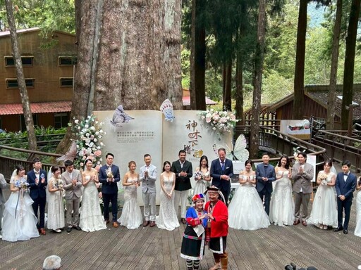 阿里山神木婚禮新人入住雲端之境阿里山賓館 盡享絕美無價雲瀑流雲婚旅