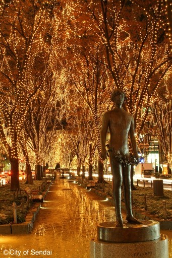 從東京出發當天來回～或兩天一夜的小旅行 冬季限定燈光秀５大推薦景點