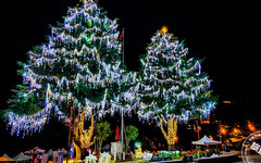 全台海拔最高的聖誕樹將亮燈！ 2023山谷燈光節試燈遊客搶先欣賞！ - 旅遊經
