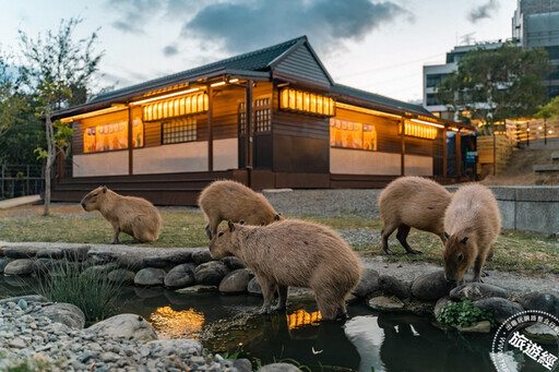 療癒系溫泉──「四重溪溫泉」 全新煮蛋池和日本水豚在等你 - 旅遊經