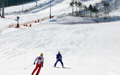 2024冬季青年奧運會在韓國 即日起入境韓國要填寫健康狀態調查表 - 旅遊經