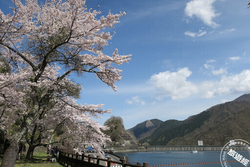 提醒！2024日本櫻花季提前 東京三處追櫻私房景點大公開 - 旅遊經