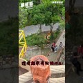 【500隻鱷魚】越南最終章 - 菜苔苔與菜生生