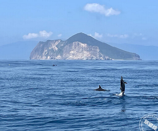 龜山島3月1日宣布開放登島 賞鯨豚、生態「趣」！ - 旅遊經