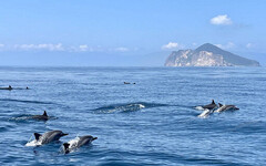 龜山島3月1日宣布開放登島 賞鯨豚、生態「趣」！ - 旅遊經
