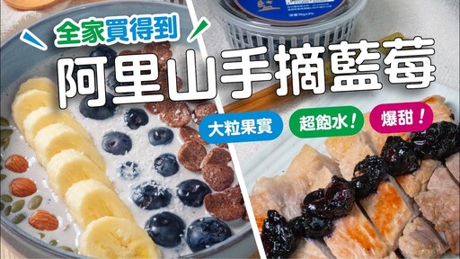 大粒果實！超飽水！超甜阿里山手摘藍莓 日本男子的家庭料理 TASTY NOTE - TASTY NOTE