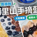 大粒果實！超飽水！超甜阿里山手摘藍莓 日本男子的家庭料理 TASTY NOTE - TASTY NOTE
