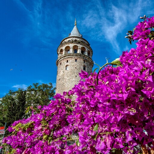來伊斯坦堡享受柳綠桃紅的春季色彩 - 太陽網