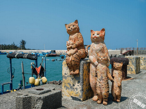 14米的擁抱貓咪超萌在看海美術館現身 - 旅遊經