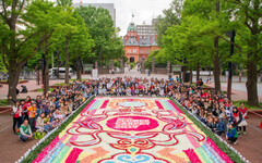札幌花毯節 傳播北海道花景觀魅力 - 太陽網