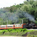 一年一次古董蒸汽火車CT273「仲夏寶島號」將開動 限量3梯次 - 旅遊經