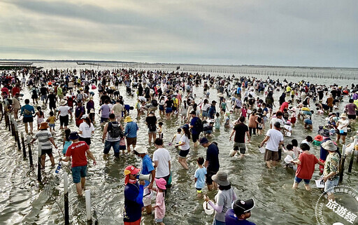 2024臺南七股海鮮節7月初開跑 最熱門的挖文蛤體驗首採收費 - 旅遊經