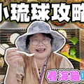 【小琉球攻略 下】 海龜多到害怕 小琉球吃什麼 玩什麼 - 菜苔苔與菜生生