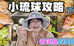 【小琉球攻略 下】 海龜多到害怕 小琉球吃什麼 玩什麼 - 菜苔苔與菜生生