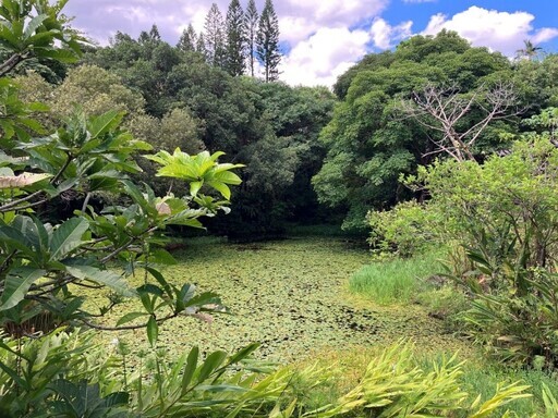 夏天出遊的最佳景點 士林官邸公園 - 太陽網