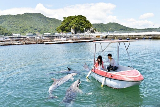 津久見海豚島與海豚零距離接觸 - 太陽網