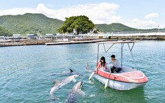 津久見海豚島與海豚零距離接觸 - 太陽網