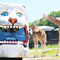 那須野生動物園 近距離觀察野生動物 - 太陽網