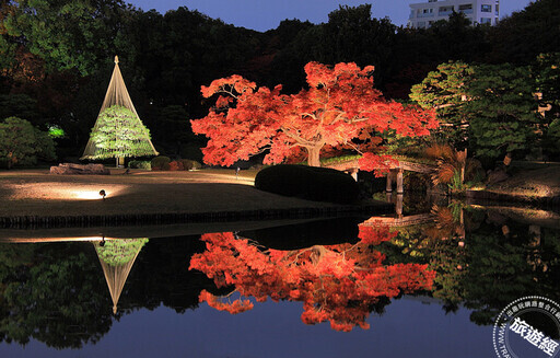 日本秋季楓景如畫布 三大楓紅點燈必賞推薦 - 旅遊經