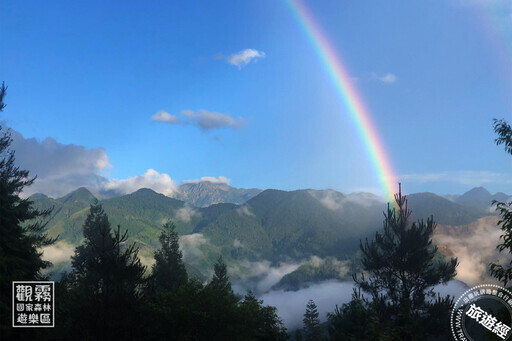 到觀霧森林 來場雲音繚繞的森林療癒小旅行！ - 旅遊經