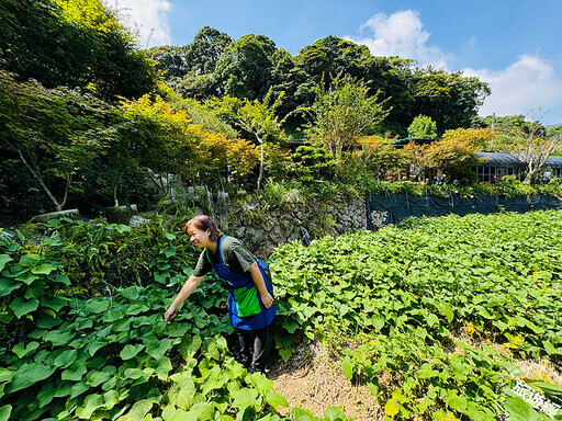 秋遊陽明山竹子湖「田間美術館」， 奇景、美食、藝術和單車來療癒身心 - 旅遊經