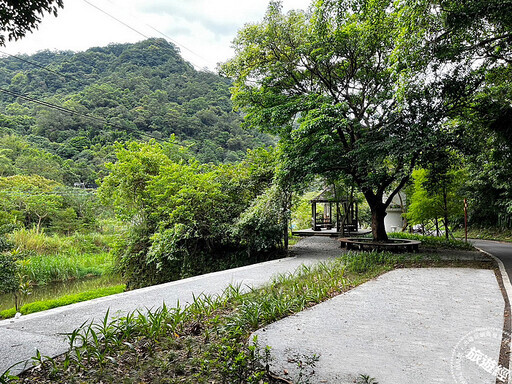 漫遊新北山海線 「這裡」可拍到落羽松及火車呼嘯而過的美麗景色 - 旅遊經