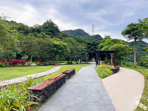 漫遊新北山海線 「這裡」可拍到落羽松及火車呼嘯而過的美麗景色 - 旅遊經