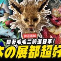 【神遊逛展】日本各種超有趣展覽毛毛二老師帶你逛！！寶可夢工藝展 超人力霸王展 昆蟲展Mr.Joe Hobby.tv - 密斯特喬