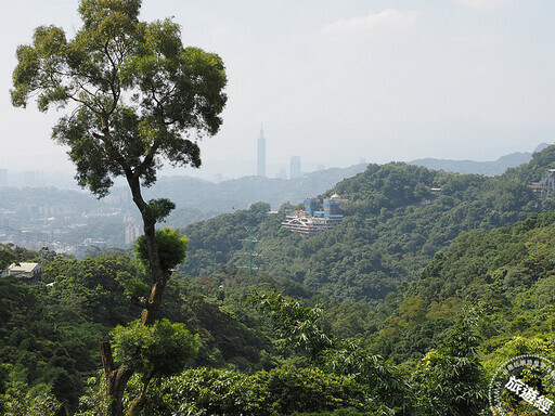 貓空遠眺台北城 走步道、茗茶、吃美食再加「這一特色」！ - 旅遊經