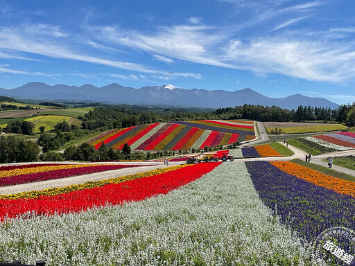 日本楓紅由北海道開始「展開」 邀您來探索富良野秋季旅遊魅力 - 旅遊經